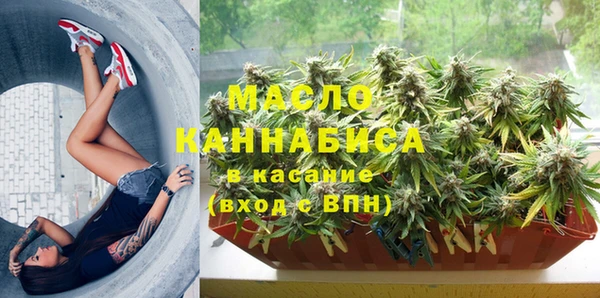 спайс Ельня